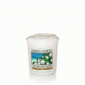Tahitian Tiare Flower Full Case of Yankee Votives - NEW!