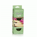 Pineapple Cilantro Twin Pack Refill Yankee Electric Home Fragrancer - NEW!